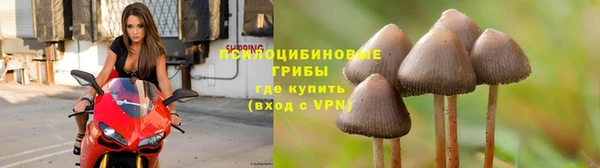 первитин Алзамай