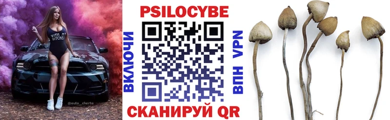 закладки  МЕГА как зайти  Галлюциногенные грибы Psilocybe  Дмитровск 